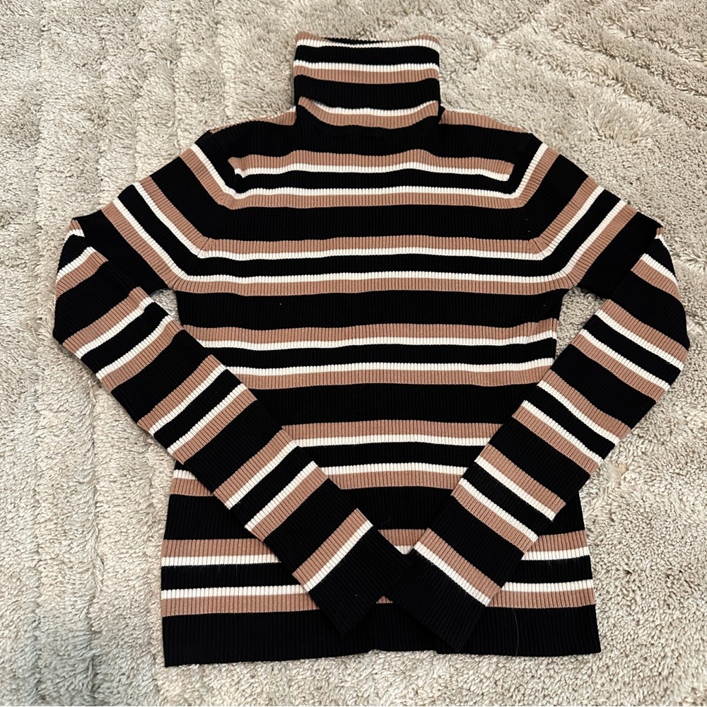 Zara Knit Turtle Neck Striped Sweater Small